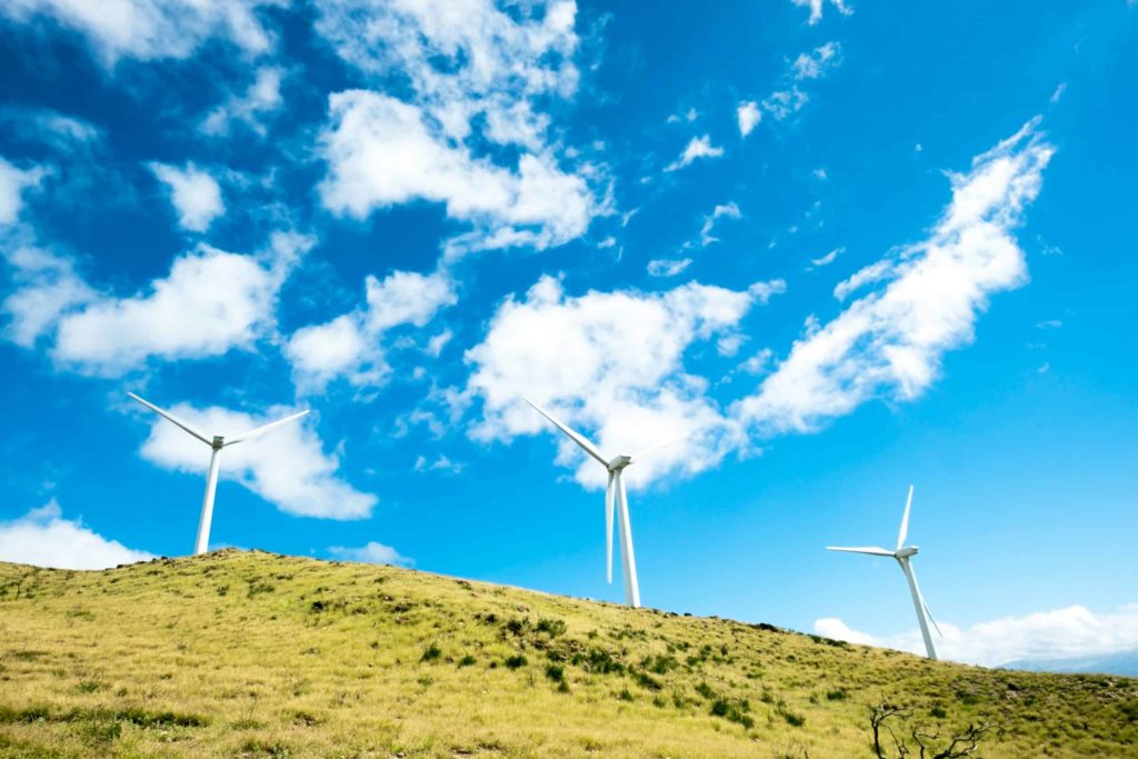 Three white windmills on top of a grassy hill with blue skies