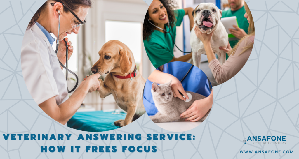 Veterinary Answering Service: How It Frees Focus - Ansafone Contact Centers
